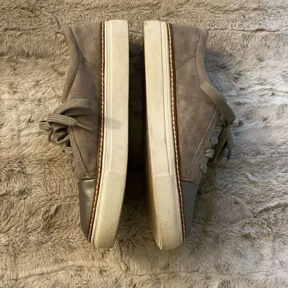 𝅺: : Caslon Suede Metallic & Grey Sneakers : :​ - Picture 4 of 14